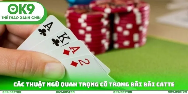 Các thuật ngữ quan trọng có trong tựa game bài bài Catte