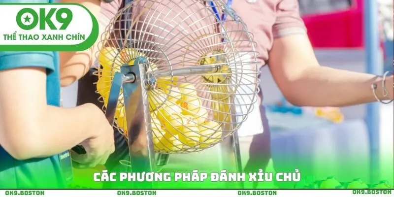 Các phương pháp đánh xỉu chủ