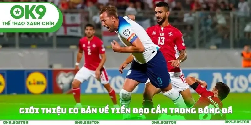 Giới thiệu cơ bản về tiền đạo cắm trong bóng đá