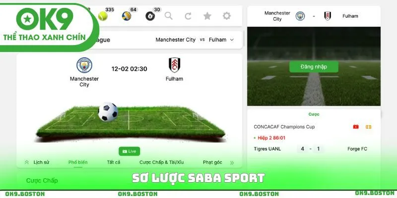 Sơ lược SABA Sport