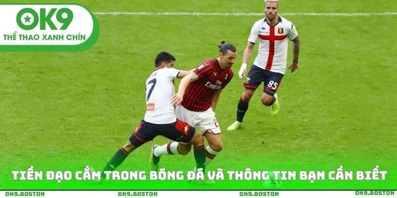 Tiền Đạo Cắm Trong Bóng Đá