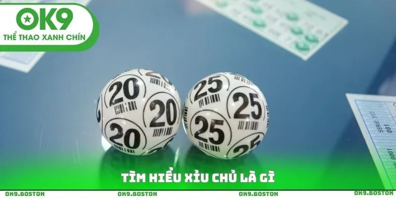 Tìm hiểu xỉu chủ là gì